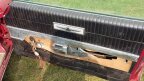 Thumbnail Photo 1 for 1969 Ford Thunderbird