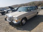 Thumbnail Photo 1 for 1969 Mercedes-Benz 250