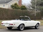 Thumbnail Photo 3 for 1969 Mercedes-Benz 280SL