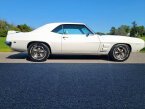 Thumbnail Photo 4 for 1969 Pontiac Firebird