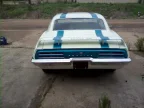 Thumbnail Photo 1 for 1969 Pontiac Trans Am