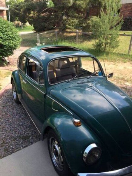 Photo 1 for 1969 Volkswagen Beetle