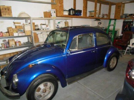 Photo 1 for 1969 Volkswagen Beetle