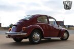 Thumbnail Photo 6 for 1969 Volkswagen Beetle