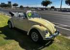 Thumbnail Photo 4 for 1969 Volkswagen Beetle