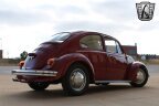 Thumbnail Photo 6 for 1969 Volkswagen Beetle