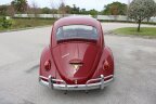 Thumbnail Photo 6 for 1969 Volkswagen Beetle