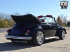 Thumbnail Photo 6 for 1969 Volkswagen Beetle