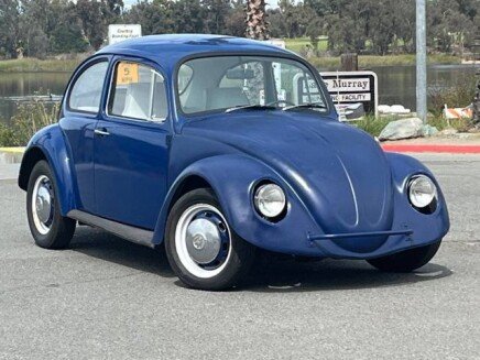 Photo 1 for 1969 Volkswagen Beetle