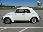 Thumbnail Photo 4 for 1969 Volkswagen Beetle