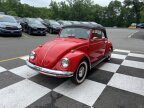 Thumbnail Photo 5 for 1969 Volkswagen Beetle Convertible