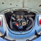 Thumbnail Photo 1 for 1969 Volkswagen Beetle