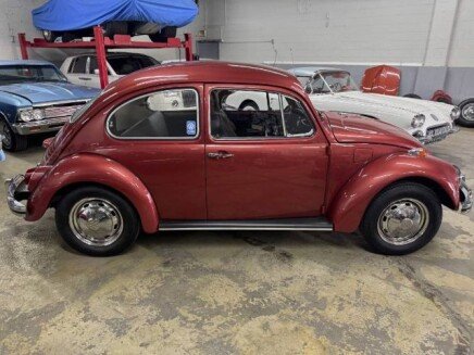Photo 1 for 1969 Volkswagen Beetle