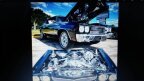 Thumbnail Photo 6 for 1970 Chevrolet Chevelle SS