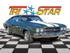 Thumbnail Photo 1 for 1970 Chevrolet Chevelle SS