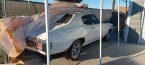 Thumbnail Photo 1 for 1970 Chevrolet Chevelle