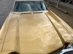 Thumbnail Photo 4 for 1970 Chevrolet Monte Carlo