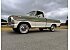 1970 Ford F100