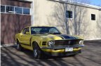 Thumbnail Photo 1 for 1970 Ford Mustang
