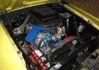 Thumbnail Photo 6 for 1970 Ford Mustang Boss 302