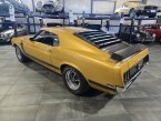 Thumbnail Photo 3 for 1970 Ford Mustang Boss 302