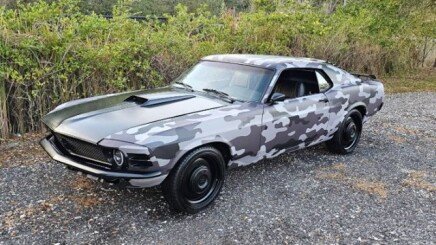 Photo 1 for 1970 Ford Mustang Fastback