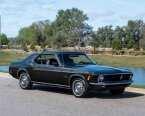 Thumbnail Photo 1 for 1970 Ford Mustang