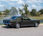 Thumbnail Photo 4 for 1970 Ford Mustang