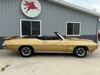 Thumbnail Photo 4 for 1970 Pontiac GTO