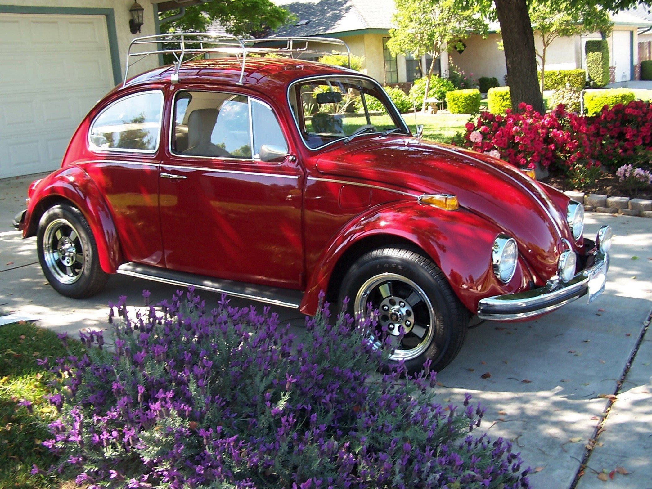Volkswagen Beetle Classic Cars for Sale near Virginia Beach, Virginia