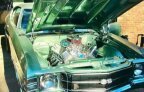 Thumbnail Photo 4 for 1971 Chevrolet Chevelle SS