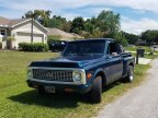 Thumbnail Photo 1 for 1971 Chevrolet Custom for Sale by Owner
