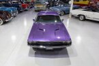 Thumbnail Photo 3 for 1971 Dodge Challenger