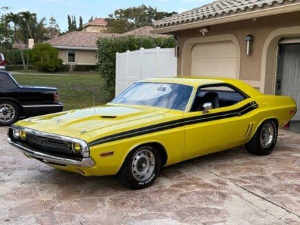 Photo 1 for 1971 Dodge Challenger
