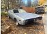 1971 Dodge Charger SE