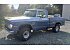 1971 Dodge D/W Truck