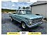 1971 Ford F100