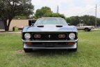 Thumbnail Photo 1 for 1971 Ford Mustang Fastback