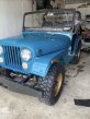 Thumbnail Photo 1 for 1971 Jeep CJ-5
