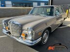 Thumbnail Photo 4 for 1971 Mercedes-Benz 280S