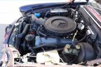 Thumbnail Photo 6 for 1971 Mercedes-Benz 280SE