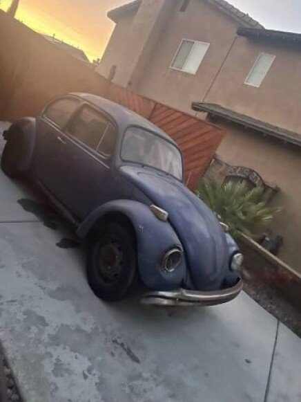 Photo 1 for 1971 Volkswagen Beetle