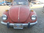 Thumbnail Photo 6 for 1971 Volkswagen Beetle