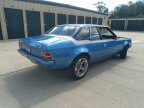 Thumbnail Photo 1 for 1972 AMC Hornet