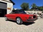 Thumbnail Photo 2 for 1972 Alfa Romeo Spider