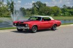 Thumbnail Photo 6 for 1972 Chevrolet Chevelle