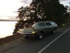 Thumbnail Photo 3 for 1972 Dodge Monaco