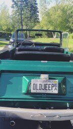 Thumbnail Photo 3 for 1972 Jeep Commando for Sale by Owner