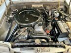 Thumbnail Photo 2 for 1972 Mercedes-Benz 250C