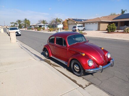 Photo 1 for 1972 Volkswagen Beetle Coupe for Sale by Owner